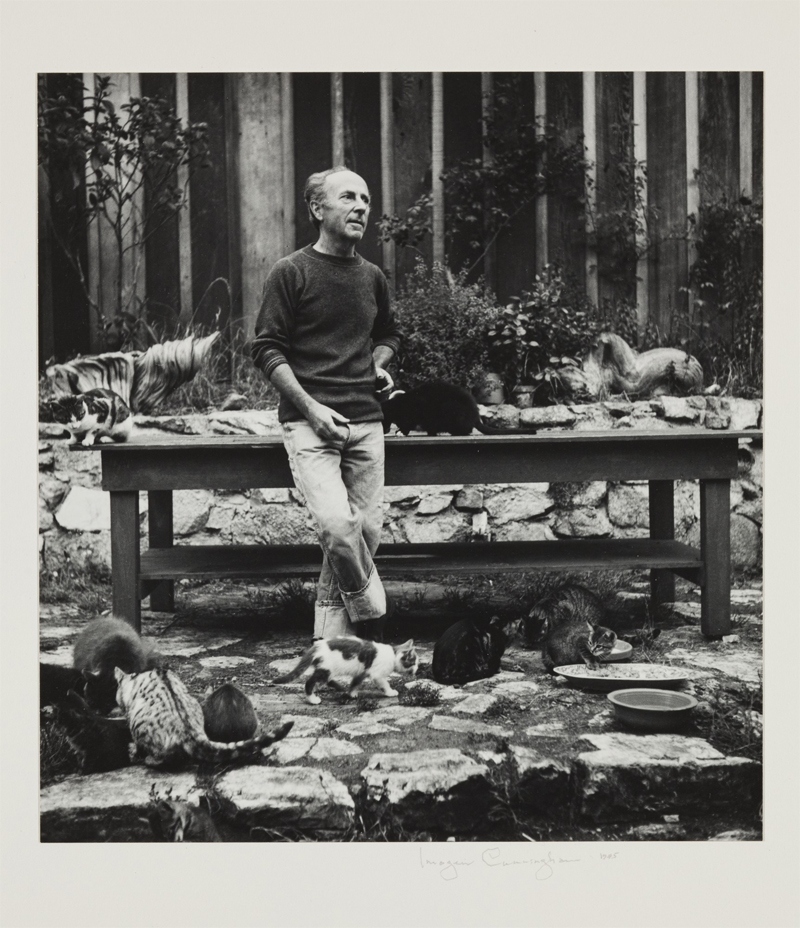 Edward Weston, Photographer, with his Cats